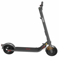 Segway Ninebot E22E Grey